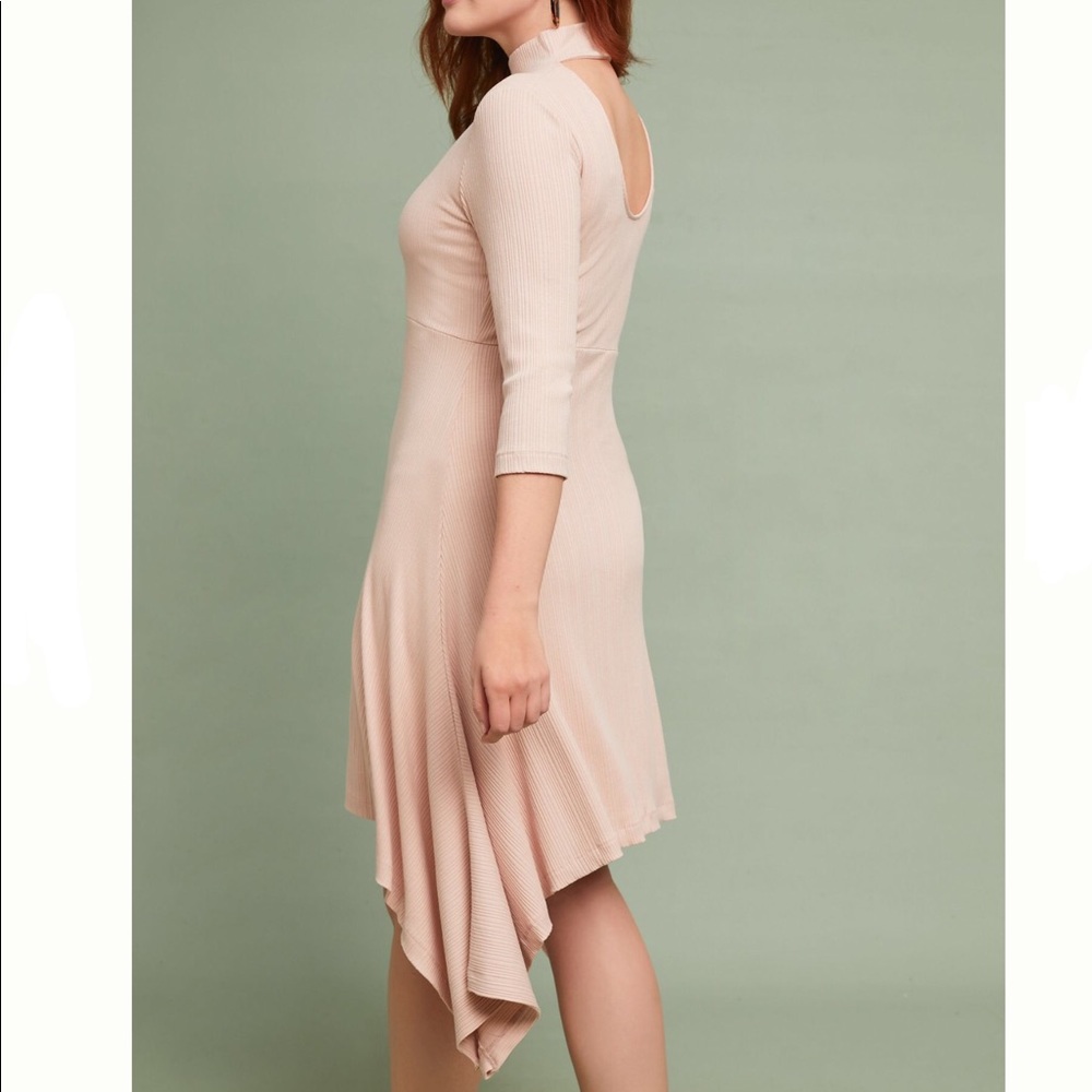 Anthro Ribbed Turtleneck Dress in Rose